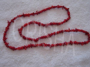 new2/IMG_0125.jpg