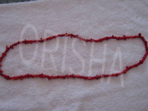 new2/IMG_0126.jpg