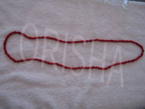 new2/IMG_0130.jpg